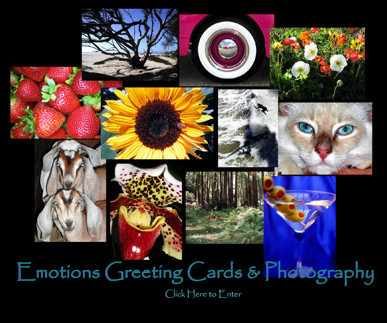 Enter Emotions Greeting Cards.