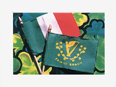 Erin Go Bragh Ireland Flag