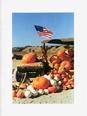Patriotic Thanksgiving