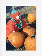 Baby Pumpkin