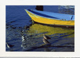 Yellow Blue Boat