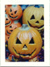 Jack-O-Lantern Pumpkin