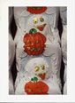 Chocolate Ghosts holding Jack O Lantern