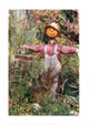Scarecrow Woman Wanted