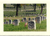 Veteran's Cemetary Memorial Flags