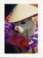 Tropical Dog with Hat and Lei