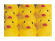 Rubber Ducky Brigade