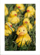 Rubber Duckies in the Grass