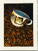 Coffee Cup Coffee Beans