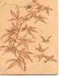 Christmas Card L. Prang & Sons