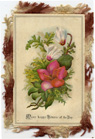 Silk Fringed Card