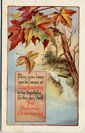 Thanksgiving Postcard Gibson Art Co.