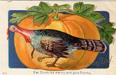 Thanksgiving Card E. Nash