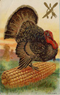 Thanksgiving Postcard M.W. Taggert