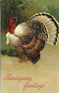 P F B Thanksgiving Card