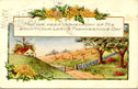 Whitney Made Thanksgiving Postcard dated 1916