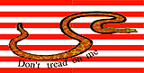 Don't Tread On Me Flag