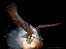 Eagles Soar
