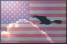 The Eagle Soars over Old Glory