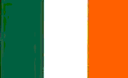 The Irish Flag